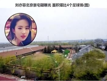 内娱第一美女刘亦菲：成名离不开妈妈与干爹，36岁不婚不恋是为何  -图5