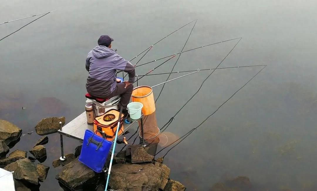 野钓不想“空军”，这8个钓鱼技巧要知道，让钓鱼新手少走弯路  