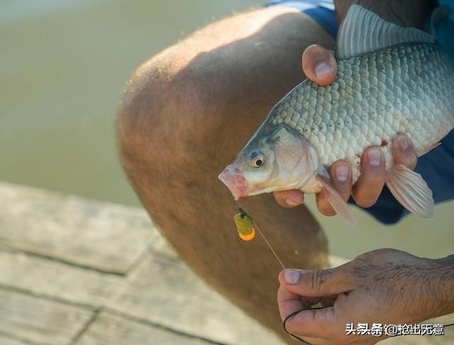 正版鱼饵市场价十多块山寨鱼饵进货价只要3块，鱼饵市场水有多深  -图3