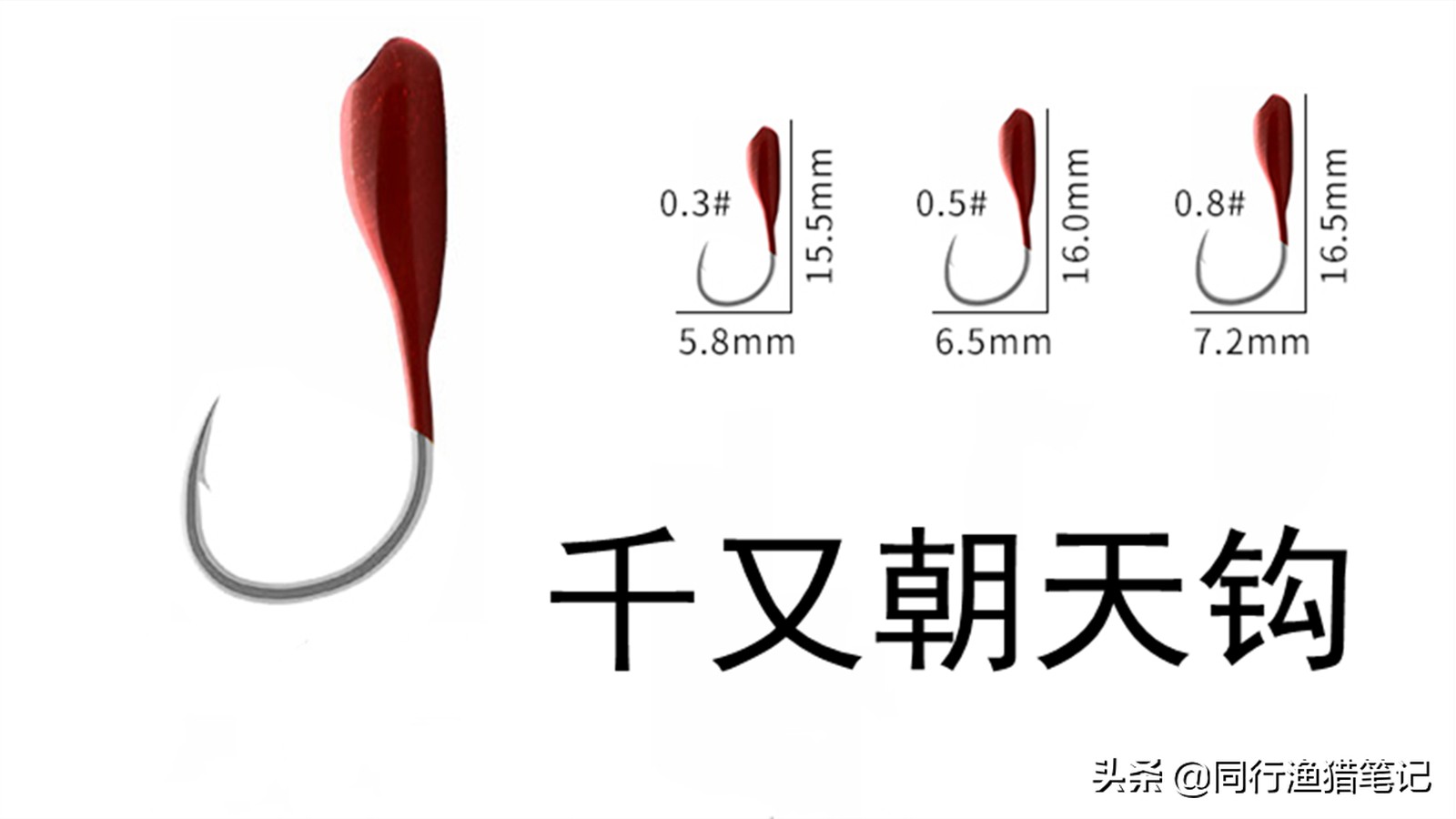 朝天钩钓鲫鱼用几号钩？五种钩型五种标准，你选对了吗  -图5