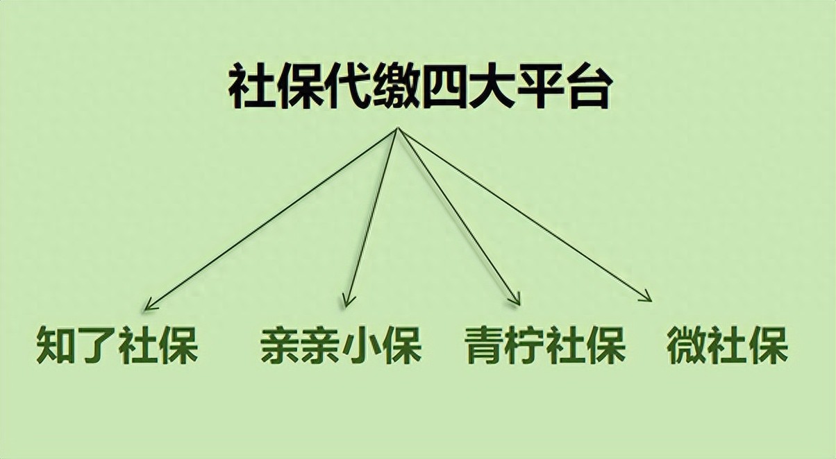 社保代缴四大平台测评（知了社保、亲亲小保、青柠社保、微社保）  