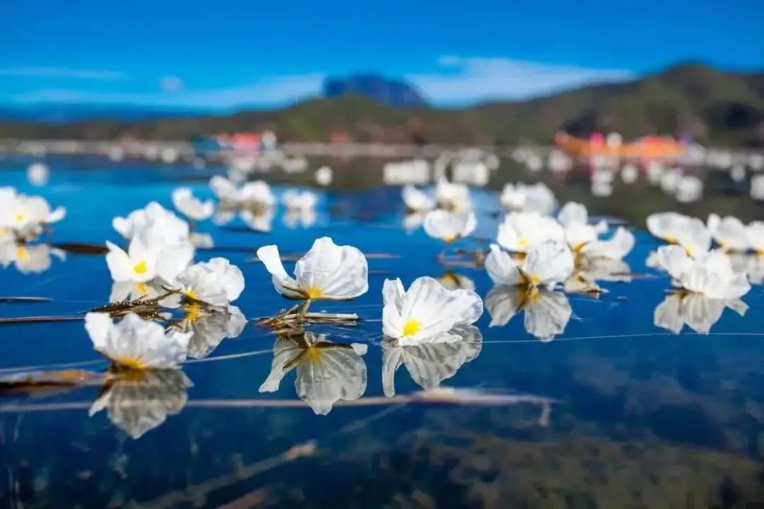 30个一生必去的旅行地，第一名不是九寨沟  -图10